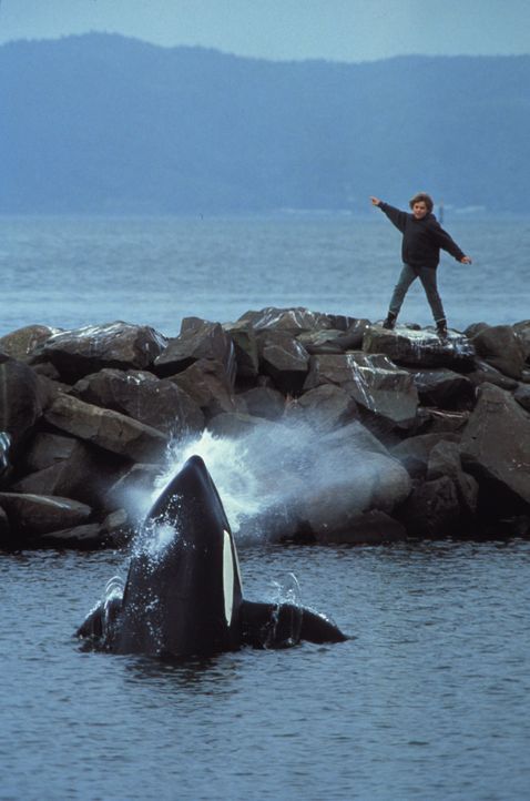 Der kleine Jesse (Jason James Richter) hat nur einen Wunsch für den Killerwal: Freiheit! - Bildquelle: Warner Bros.