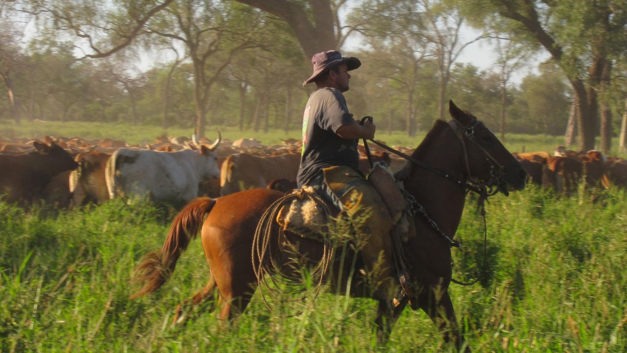 Cowboys in Südamerika