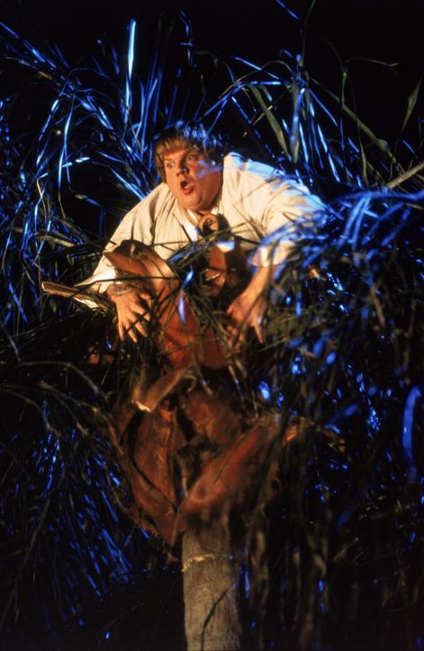Gut getarnt behält der Ninja Haru (Chris Farley) sein Opfer im Auge ... - Bildquelle: 1997 TriStar Pictures, Inc. All Rights Reserved.