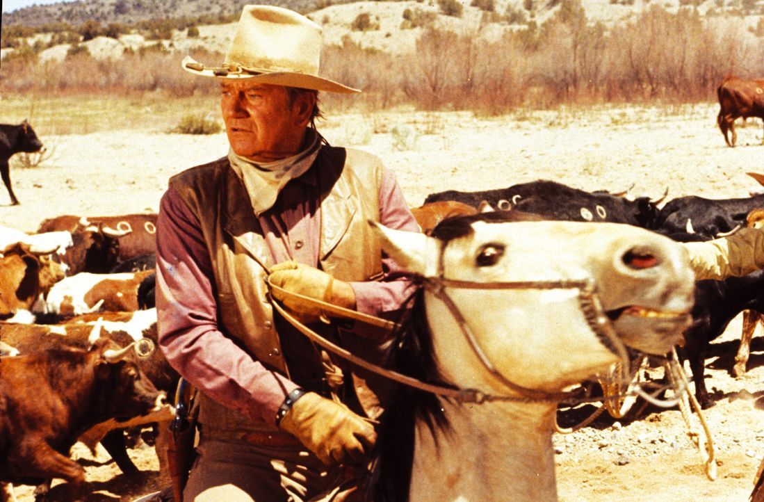 Ausgerechnet kurz vor dem jährlichen Viehtrieb nach Belle Fourche laufen Rancher Wil Andersen (John Wayne) die Treiber weg, weil in der Nähe ein G... - Bildquelle: Warner Bros.