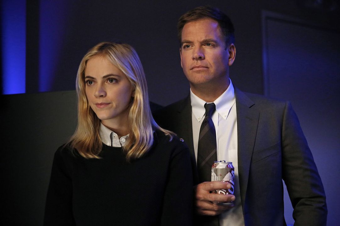 Ein neuer Fall wartet auf Ellie (Emily Wickersham, l.) und DiNozzo (Michael Weatherly, r.) ... - Bildquelle: CBS Television