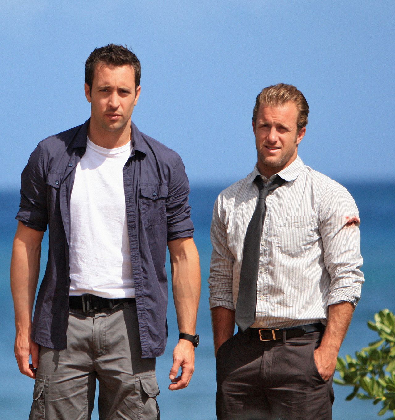 Hawaii Five 0 Aloha Steve Mcgarrett Kabeleins