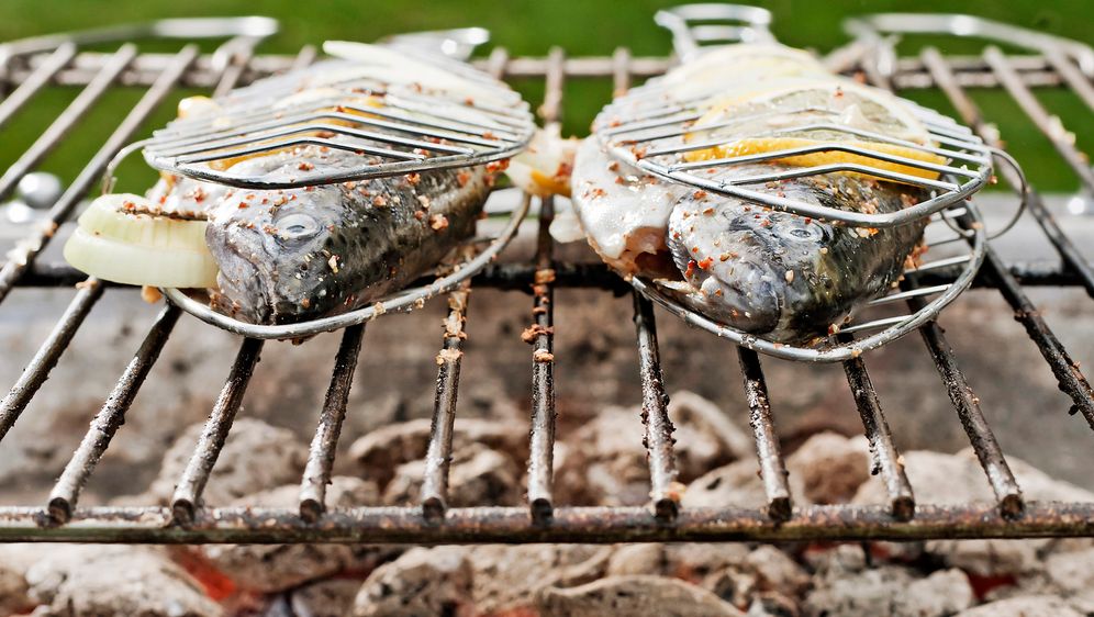 Fisch grillen mit dem Fischkorb So wird