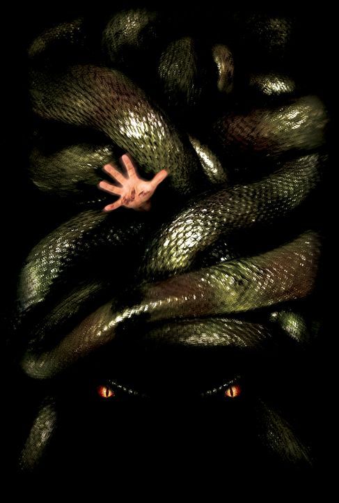 Anacondas: Die Jagd nach der Blut-Orchidee - Bildquelle: Sony Pictures Television International. All Rights Reserved.