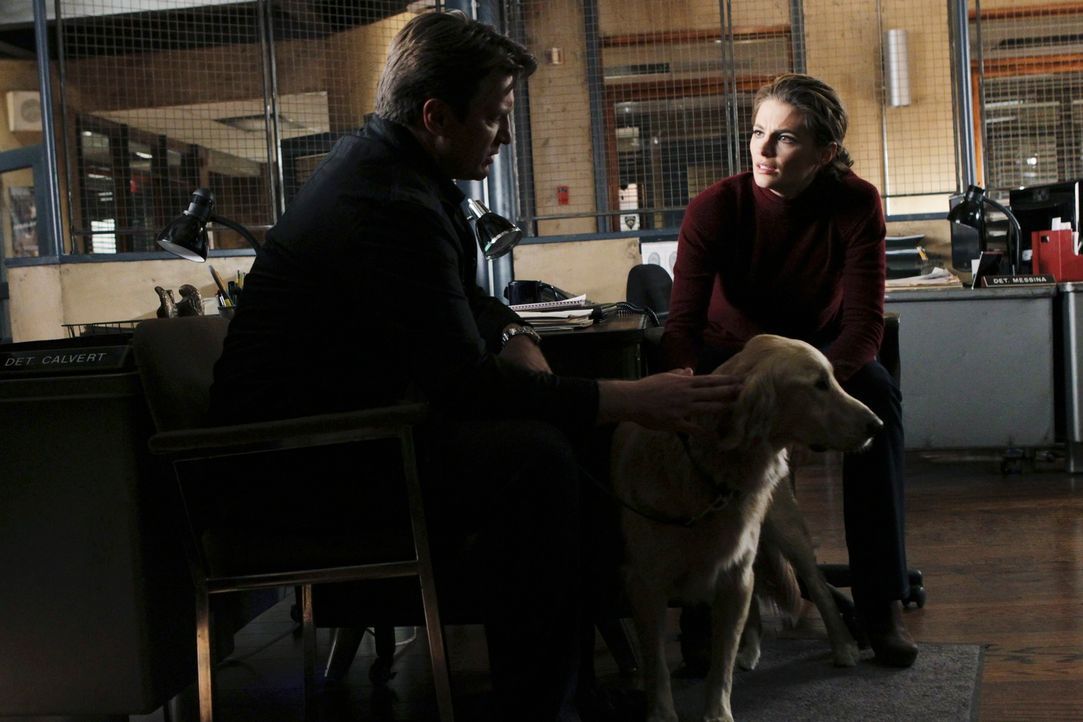 Kate Beckett (Stana Katic, r.) und Richard Castle (Nathan Fillion, l.) müssen feststellen, dass der ermordete Hundetrainer mit Vierbeinern sehr gut... - Bildquelle: ABC Studios