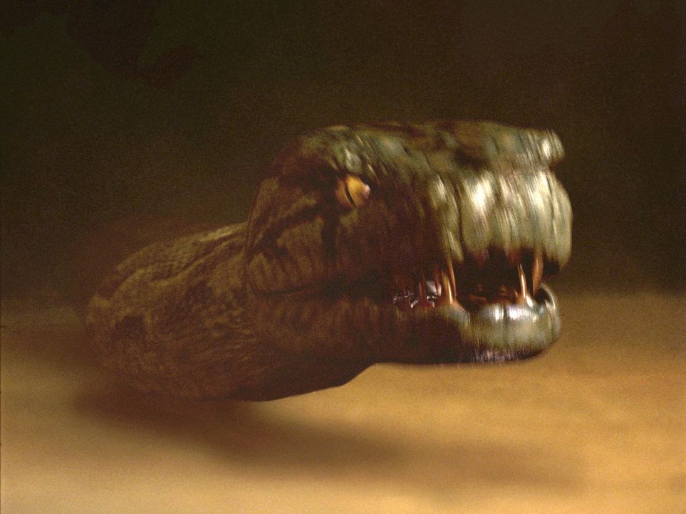 Als in einem privaten Wildpark eine riesige Python ausbricht, lässt das FBI eine ebenso große Boa frei, um das gefährliche Killerreptil außer Gefech... - Bildquelle: Sony Pictures Television International. All Rights Reserved.