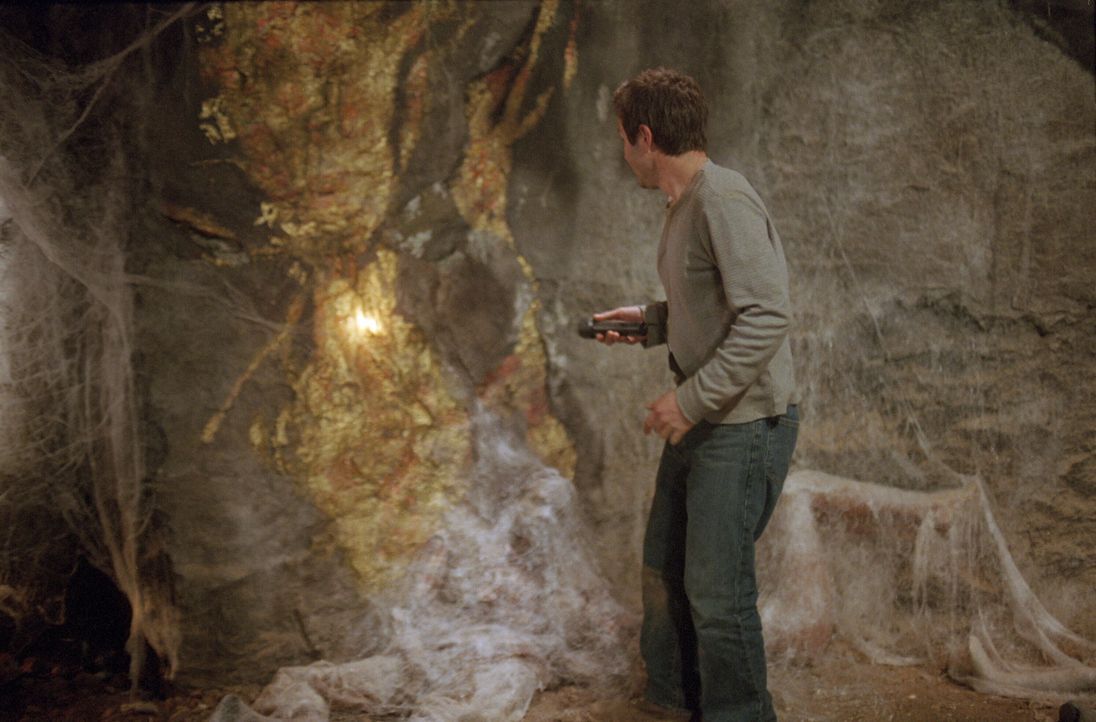 Wagt sich in die Höhle der Riesenspinnen: Chris McCormick (David Arquette) - Bildquelle: Warner Bros. Pictures