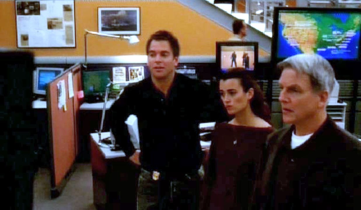 Anthony (Michael Weatherly, l.), Ziva (Cote de Pablo, M.) und Gibbs (Mark Harmon, r.) erforschen die Identität des Ermordeten ... - Bildquelle: CBS Television