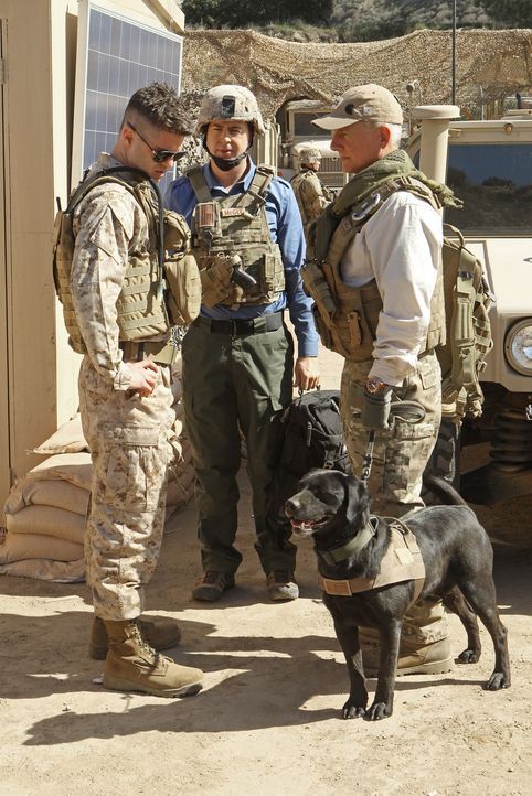 Ein neuer Fall führt Gibbs (Mark Harmon, r.) und McGee (Sean Murray, M.) nach Afghanistan ... - Bildquelle: CBS Television