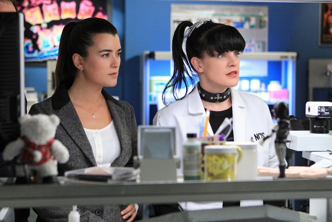 Ein neuer Fall beschäftigt Abby (Pauley Perrette, r.) und Ziva (Cote de Pablo, l.) ... - Bildquelle: CBS Television