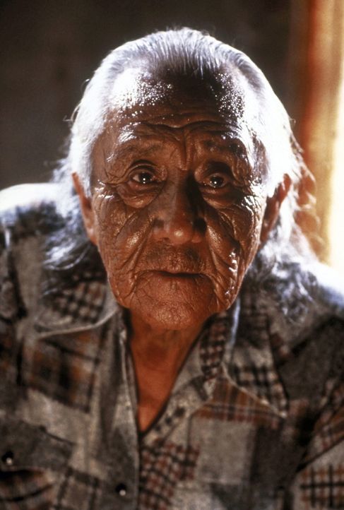 Der alte Medizinmann Sam Reaches (Ted Chief Thin Elk) versucht, dem FBI-Agenten Levoi die Bräuche und Sitten der Indianer näher zu bringen ... - Bildquelle: TriStar Pictures