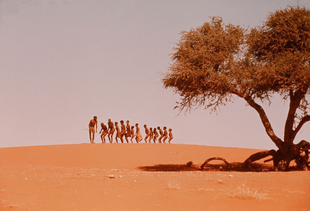 Vier Jahre lang war Regisseur Jamie Uys für diesen Film in Afrika unterwegs: In der hitzeflirrenden Namib-Wüste, in den geheimnisvollen Okovango-Süm... - Bildquelle: Warner Bros. Pictures